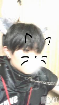 ����ȯ��󥺥���ѥ˥������ɸ�����ѥ˥��� Voclato-�ͤ��-(�ܥ����) ��ޤ���(21)��3��4���̥�֥����֤����^^��