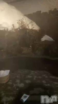 ©ȴ���������衪