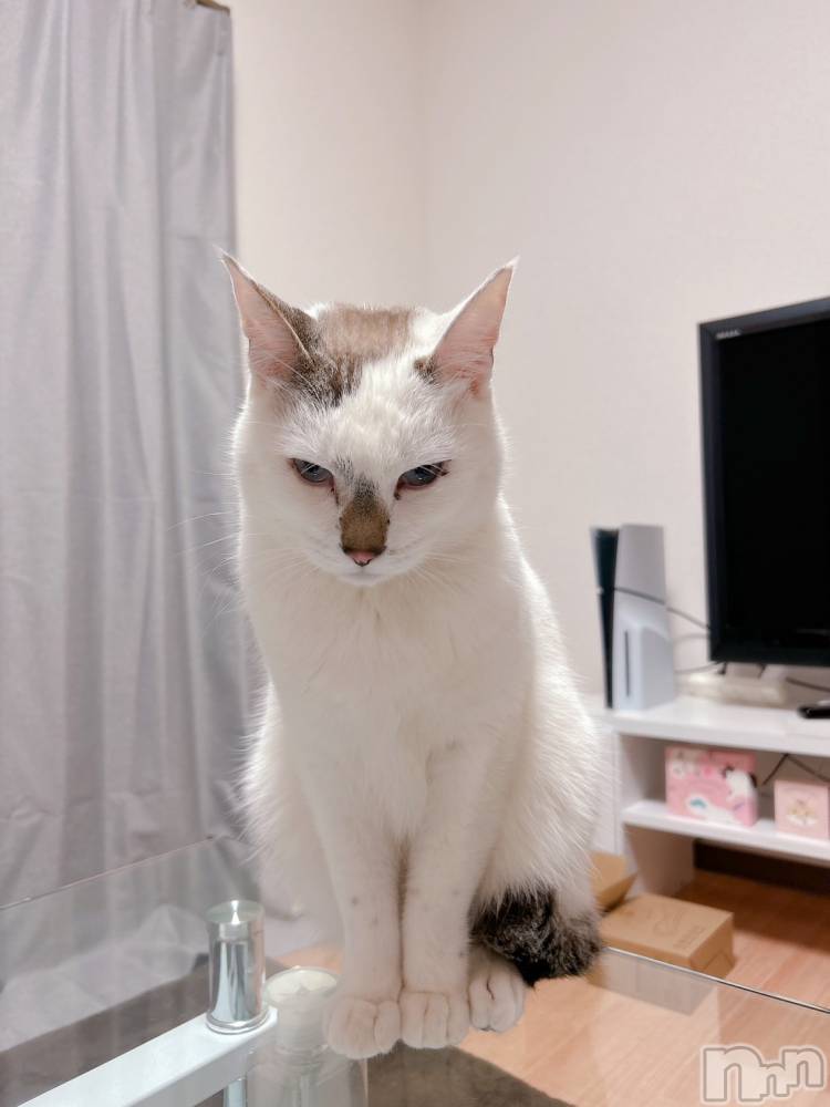 �����������������åȥС�Bar.Re(�С������륤��) ��󤿤�����3��21���̥�֥�����Re:��������Ϥ��֥��������