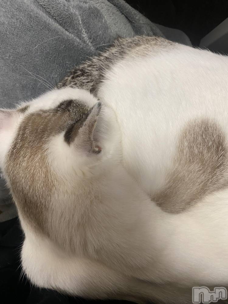 �����������������åȥС�Bar.Re(�С������륤��) ��󤿤�����3��22���̥�֥����ֺǶ�ϡ�