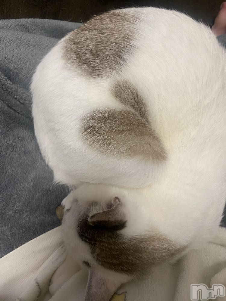 �����������������åȥС�Bar.Re(�С������륤��) ��󤿤�����3��26���̥�֥����ַ��ɽ����