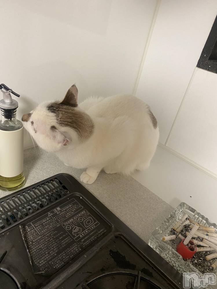 �����������������åȥС�Bar.Re(�С������륤��) ��󤿤�����4��10���̥�֥����ּ��ʡ�