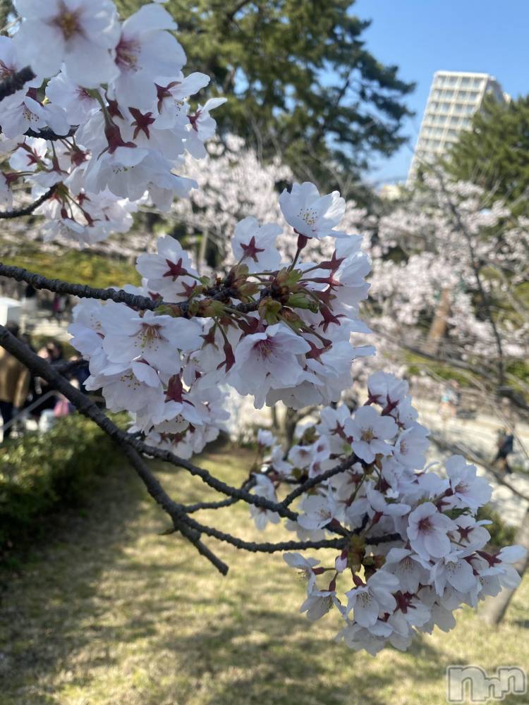 �����������������åȥС�Bar.Re(�С������륤��) ��󤿤�����4��13���̥�֥����ֲָ���