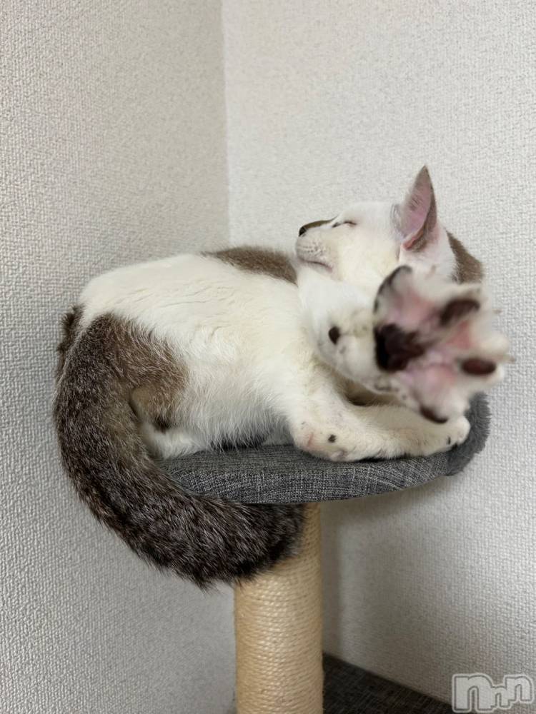 �����������������åȥС�Bar.Re(�С������륤��) ��󤿤�����5��2���̥�֥����ֵ٤ߤ�����