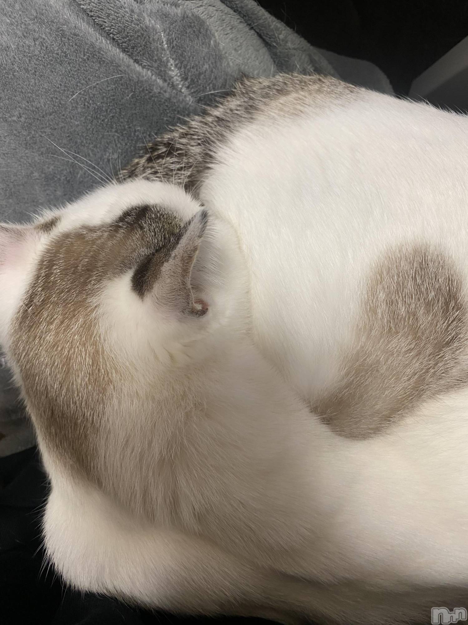 �����������������åȥС�Bar.Re(�С������륤��) ��2025ǯ3��22���̥�֥����ֺǶ�ϡ�