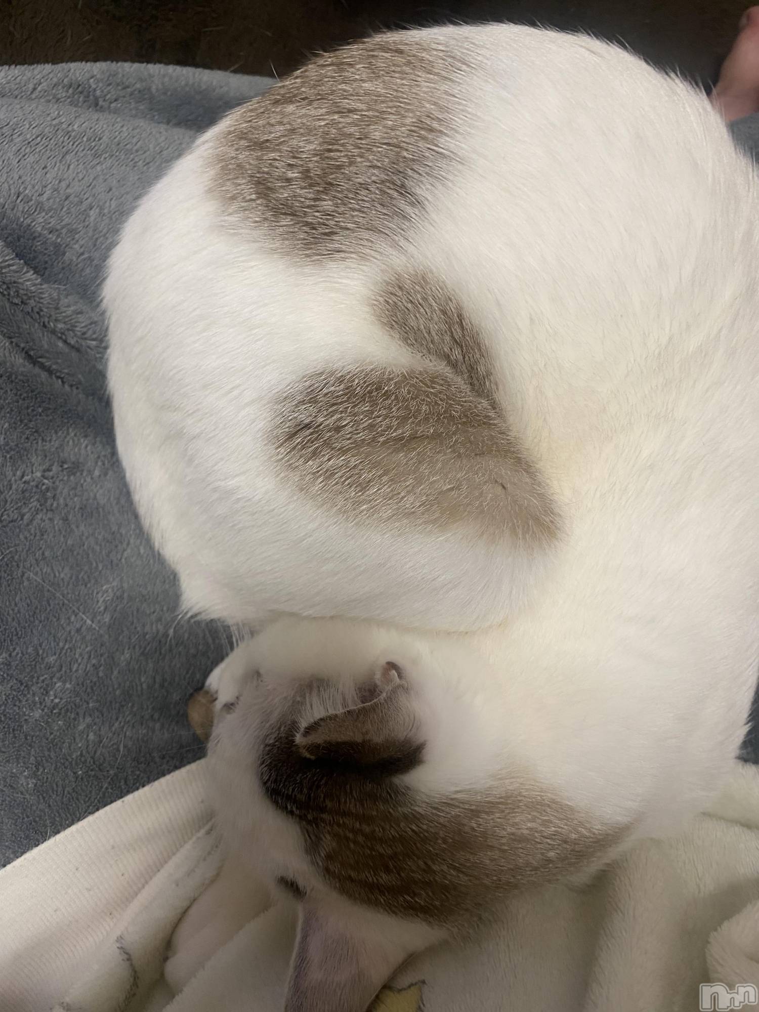 �����������������åȥС�Bar.Re(�С������륤��) ��2025ǯ3��26���̥�֥����ַ��ɽ����