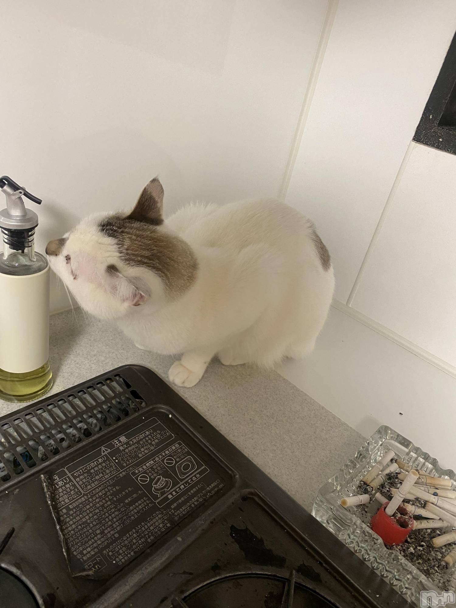 �����������������åȥС�Bar.Re(�С������륤��) ��2025ǯ4��10���̥�֥����ּ��ʡ�