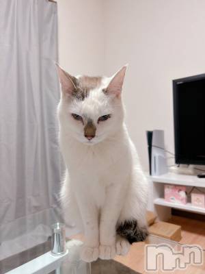 �����������������åȥС�Bar.Re(�С������륤��) ��󤿤���(26)��3��21���̥�֥�����Re:��������Ϥ��֥��������