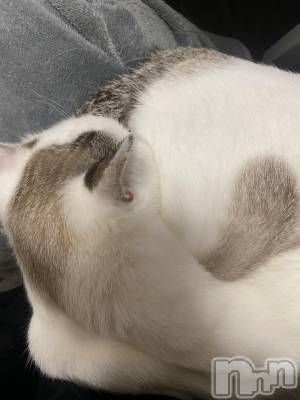 �����������������åȥС�Bar.Re(�С������륤��) ��󤿤���(26)��3��22���̥�֥����ֺǶ�ϡ�