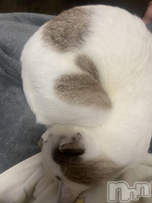 �����������������åȥС�Bar.Re(�С������륤��) ��󤿤���(26)��3��26���̥�֥����ַ��ɽ����