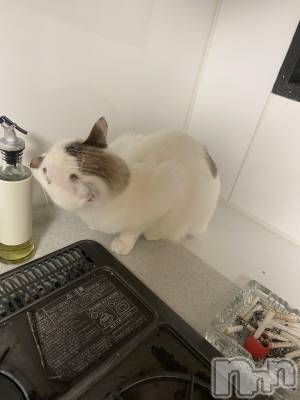 �����������������åȥС�Bar.Re(�С������륤��) ��󤿤���(26)��4��10���̥�֥����ּ��ʡ�