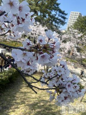 �����������������åȥС�Bar.Re(�С������륤��) ��󤿤���(26)��4��13���̥�֥����ֲָ���