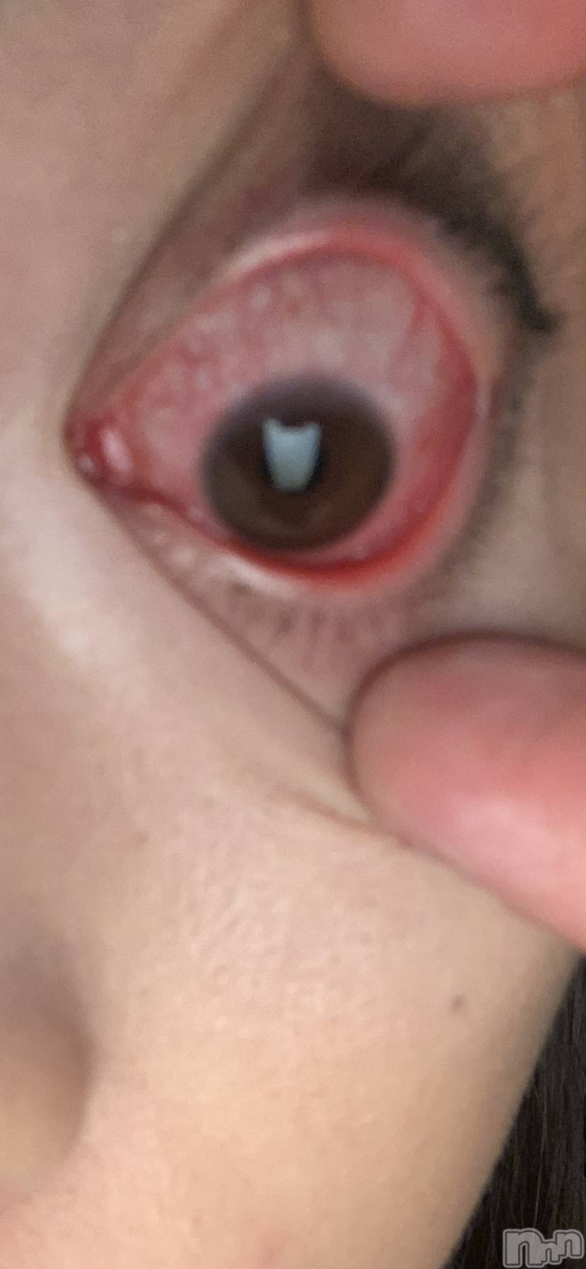 �����������������åȥС�Bar.Re.Muse(�С���ߥ塼��) ��2025ǯ4��3���̥�֥������ܡ��ܤ�������