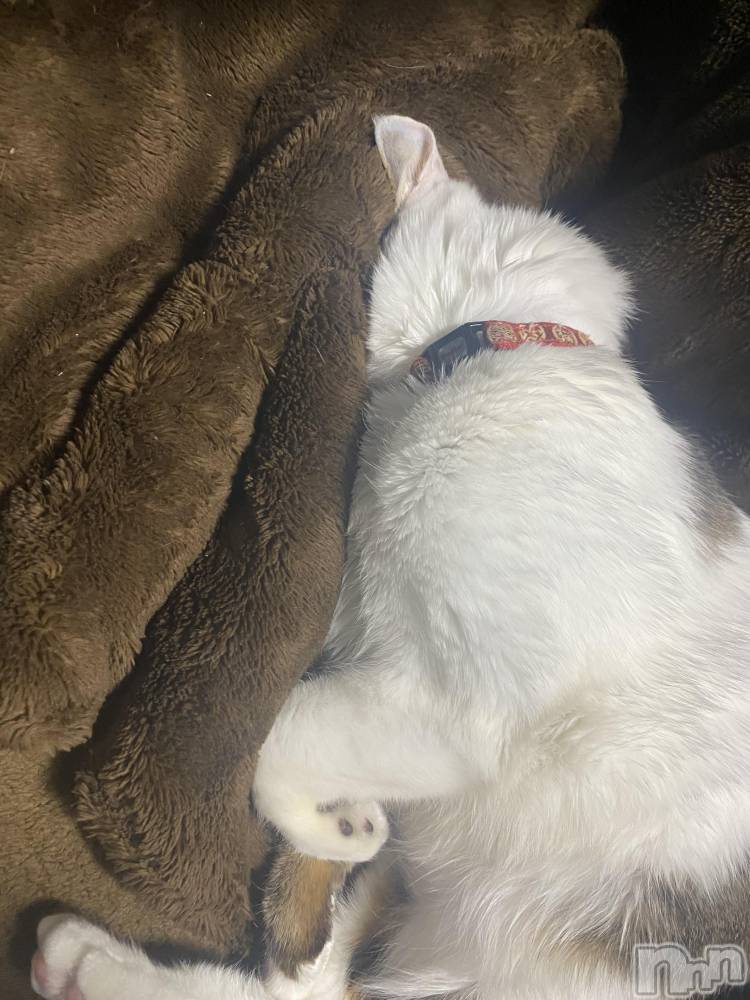 �����������������åȥС�Bar RE.VOICE(�С����������) ���������4��11���̥�֥����֡ں����Τ֤����ۡ�