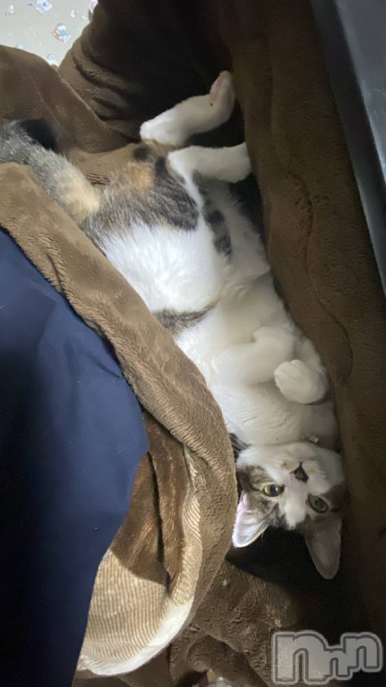 �����������������åȥС�Bar RE.VOICE(�С����������) ���������5��4���̥�֥����֡ں����Τ֤����ۡ�