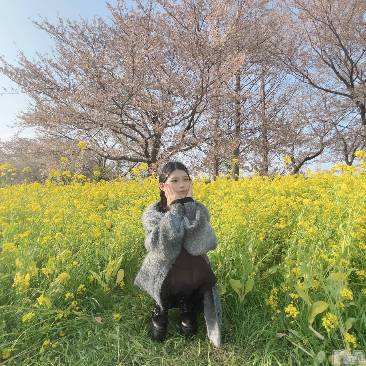 �����������������åȥС�Bar RE.VOICE(�С����������) ��2025ǯ4��25���̥�֥����֡ں����Τ֤����ۡ�