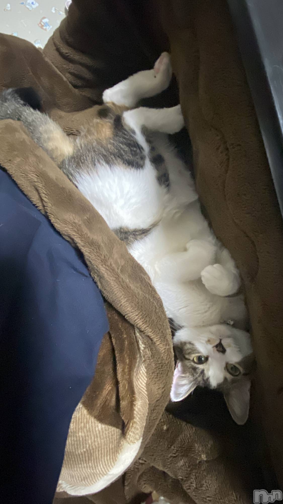 �����������������åȥС�Bar RE.VOICE(�С����������) ��2025ǯ5��4���̥�֥����֡ں����Τ֤����ۡ�