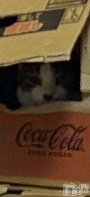 �����������������åȥС�Bar RE.VOICE(�С����������) ��������(25)��3��28���̥�֥����֡ں����Τ֤����ۡ�