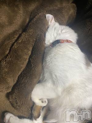 �����������������åȥС�Bar RE.VOICE(�С����������) ��������(25)��4��11���̥�֥����֡ں����Τ֤����ۡ�