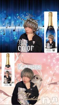 �����������������åȥС�Bar.Color(�С����顼) ��������(����)��4��4���̥�֥����֥饤��å����ġ�