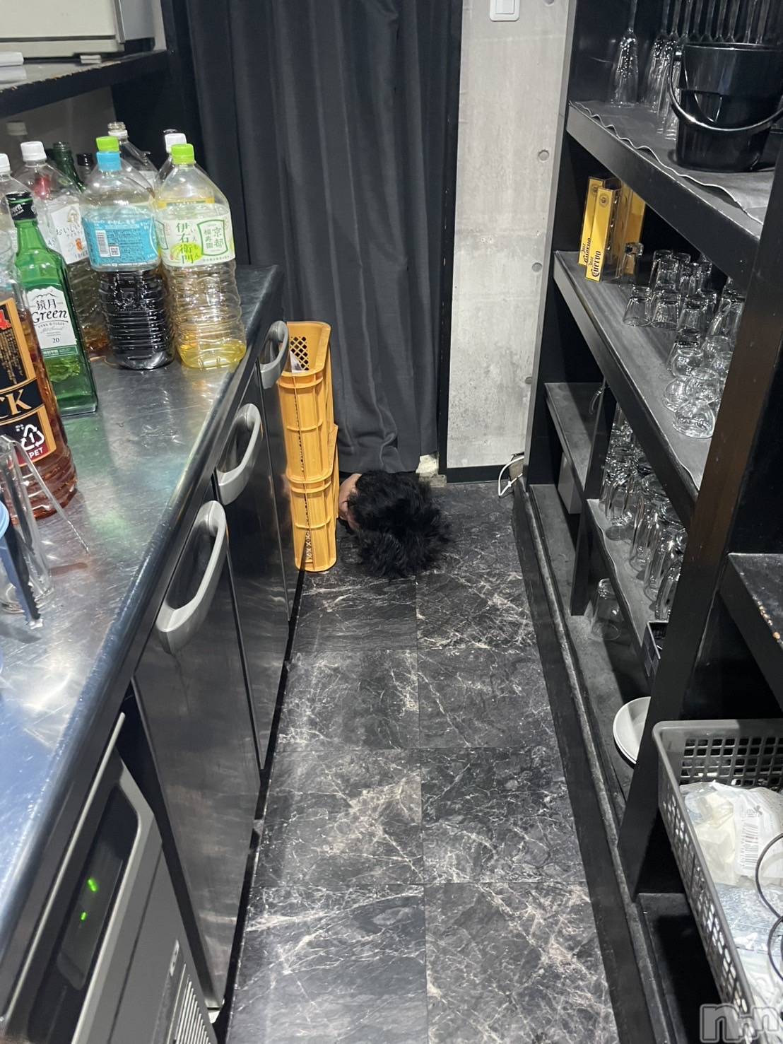 �����������������åȥС�Bar.Color(�С����顼) ��2025ǯ5��5���̥�֥����ֺ����٤줿��ͤ�^_^��