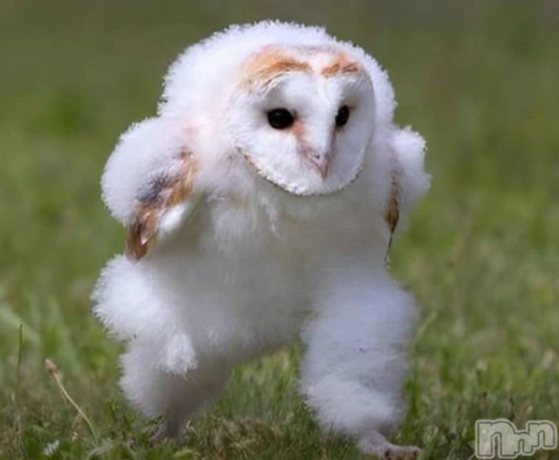 �����������������åȥС�Bar.Color(�С����顼) �����ؤ���4��1���̥�֥����֎����Ρ�