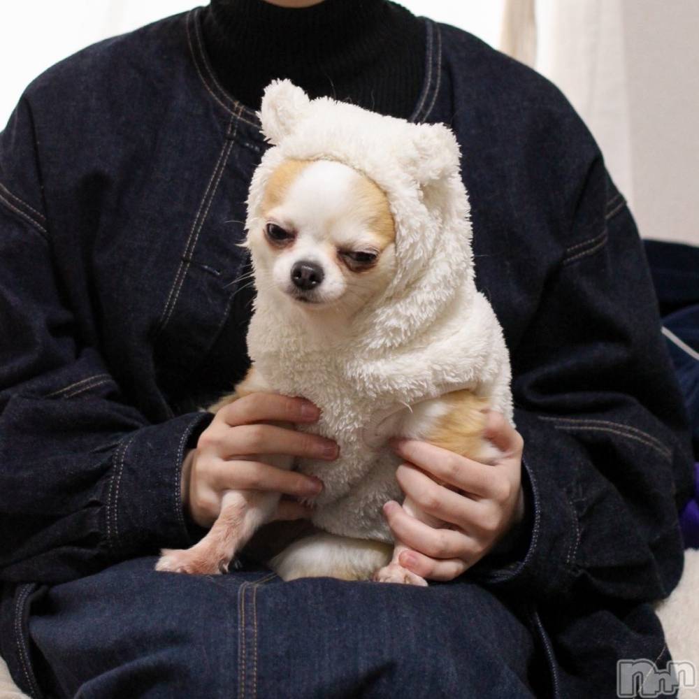 �����������������åȥС�Bar.Color(�С����顼) �����ؤ���4��3���̥�֥����֤����