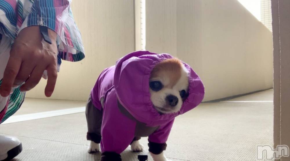 �����������������åȥС�Bar.Color(�С����顼) �����ؤ���4��8���̥�֥����֤��äȡ�