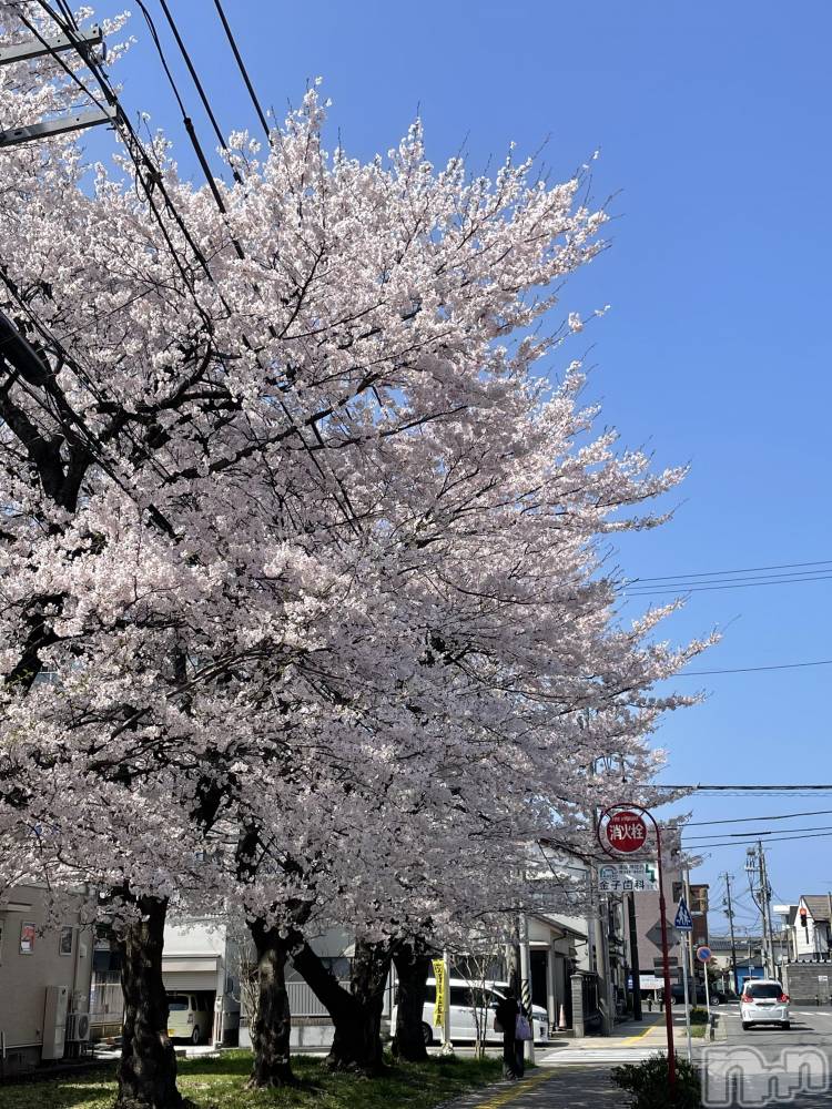 �����������������åȥС�Bar.Color(�С����顼) �����ؤ���4��14���̥�֥����ֺ���