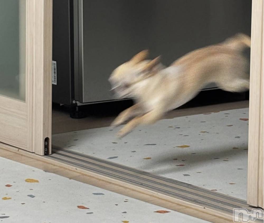 �����������������åȥС�Bar.Color(�С����顼) �����ؤ���4��15���̥�֥����֤ʤ�����ʤ���