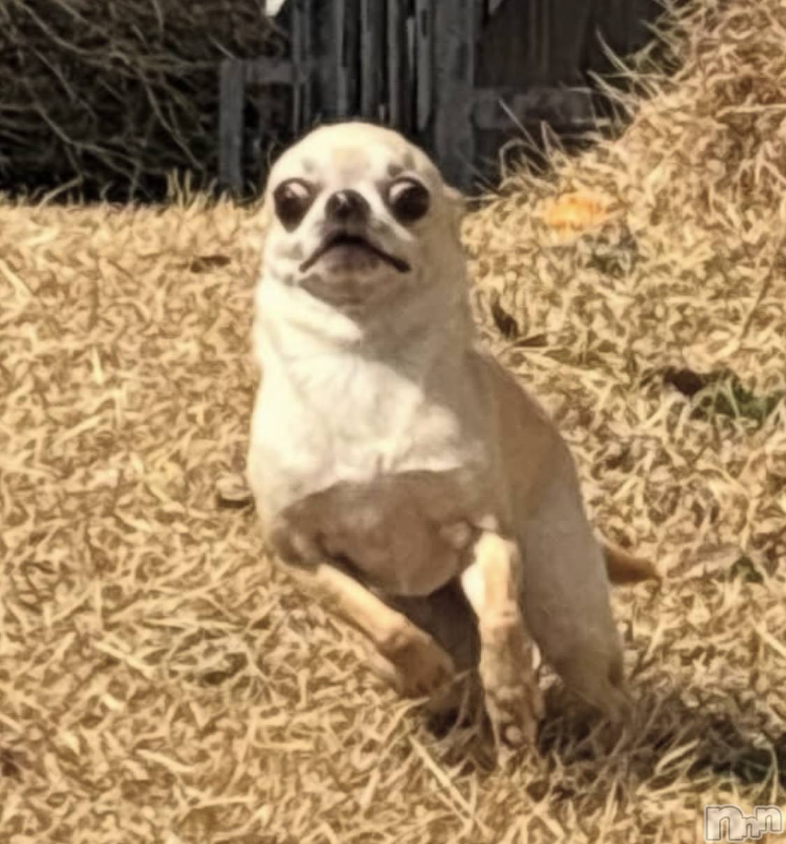 �����������������åȥС�Bar.Color(�С����顼) ��2025ǯ3��29���̥�֥����֤Ϥ���ޤ��ơ�