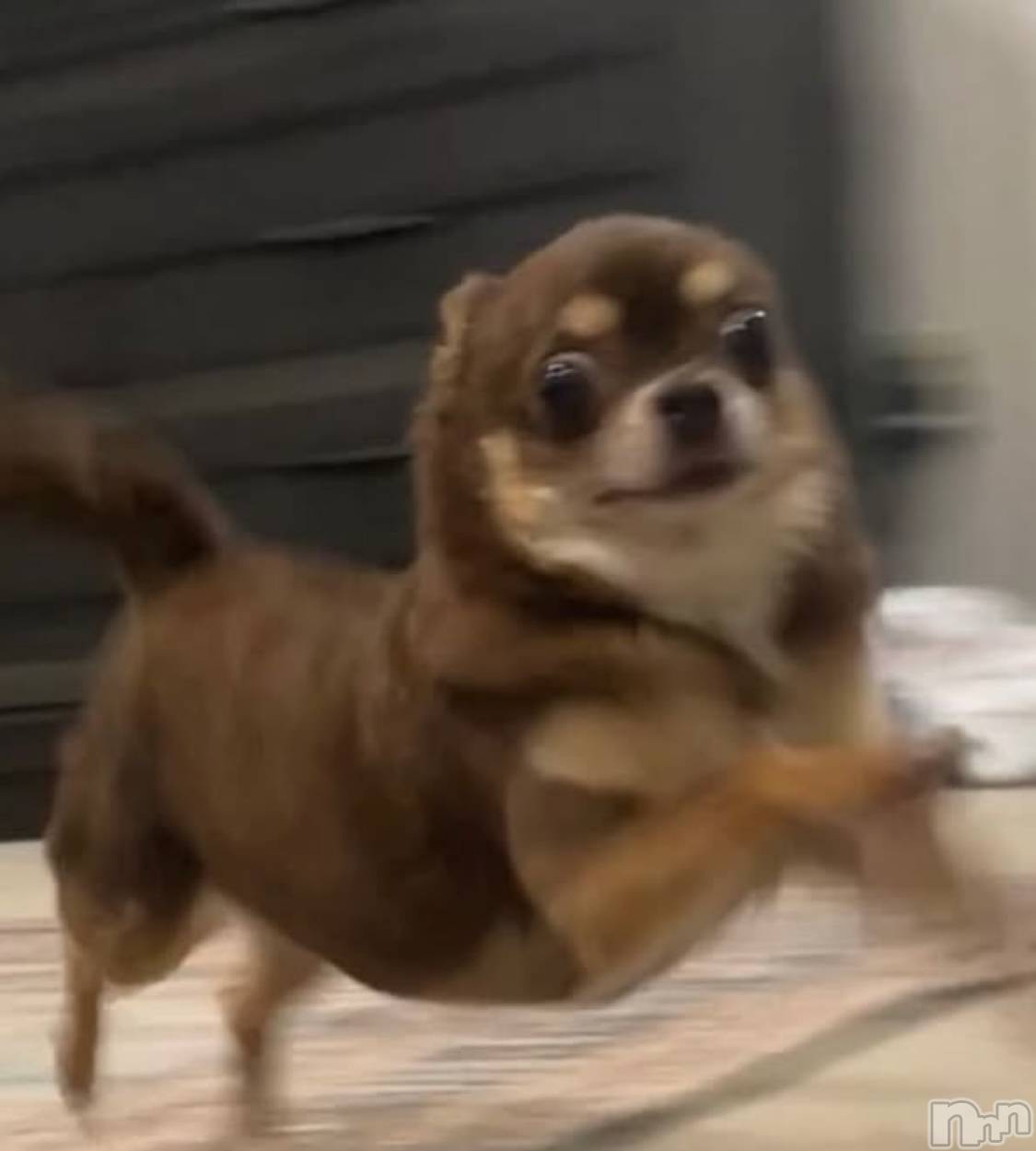 �����������������åȥС�Bar.Color(�С����顼) ��2025ǯ3��31���̥�֥����֡���������