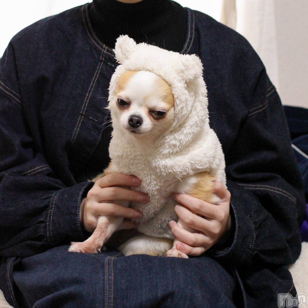 �����������������åȥС�Bar.Color(�С����顼) ��2025ǯ4��3���̥�֥����֤����