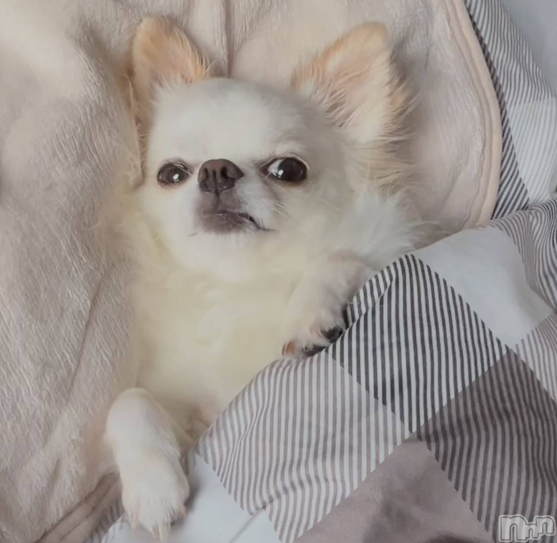 �����������������åȥС�Bar.Color(�С����顼) ��2025ǯ4��6���̥�֥�����🍖��