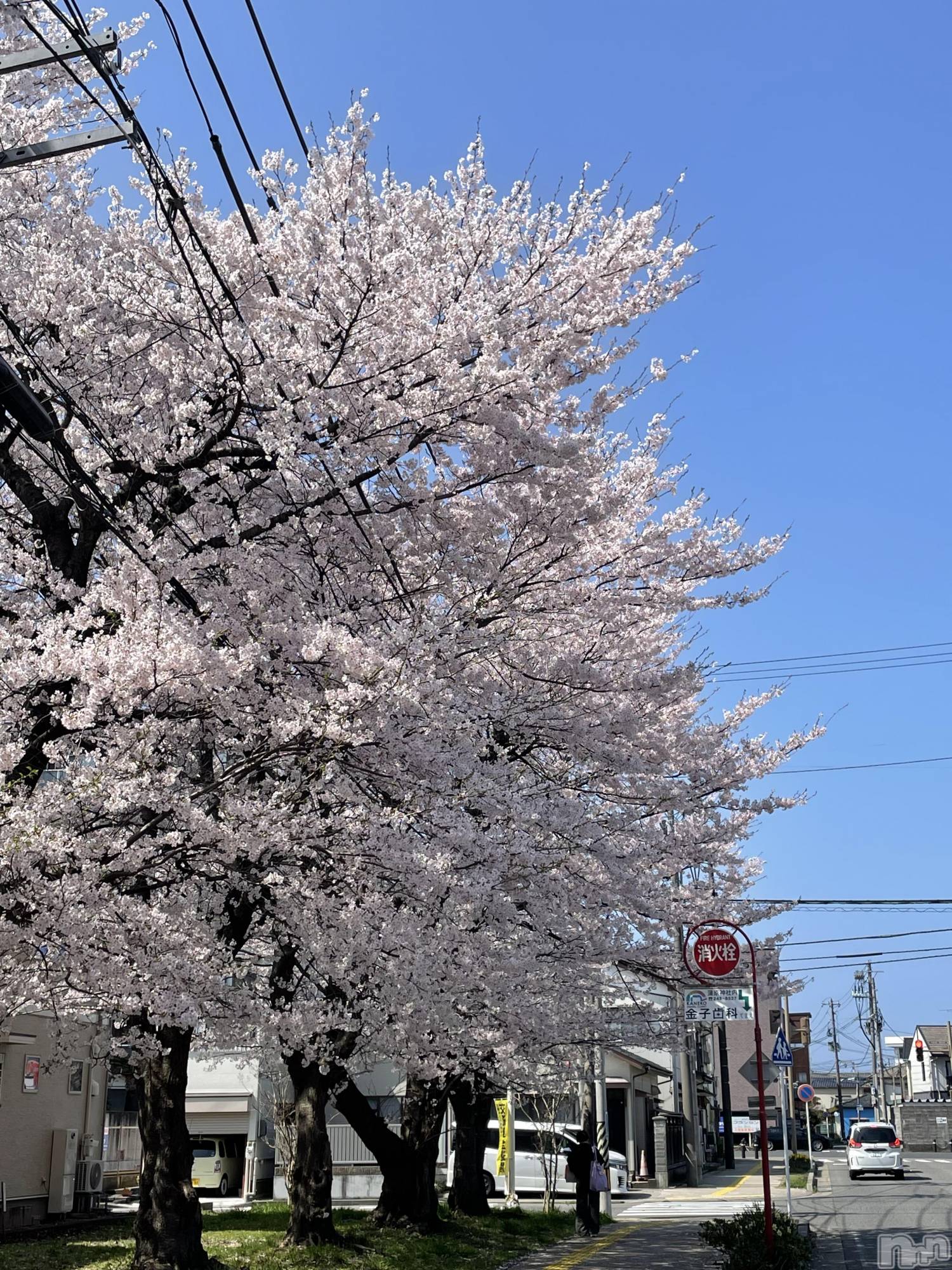 �����������������åȥС�Bar.Color(�С����顼) ��2025ǯ4��14���̥�֥����ֺ���