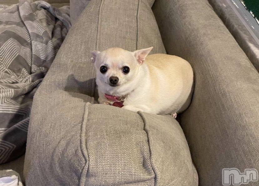 �����������������åȥС�Bar.Color(�С����顼) ��2025ǯ5��14���̥�֥����ֵ٤������Ǥ��Ϥ���