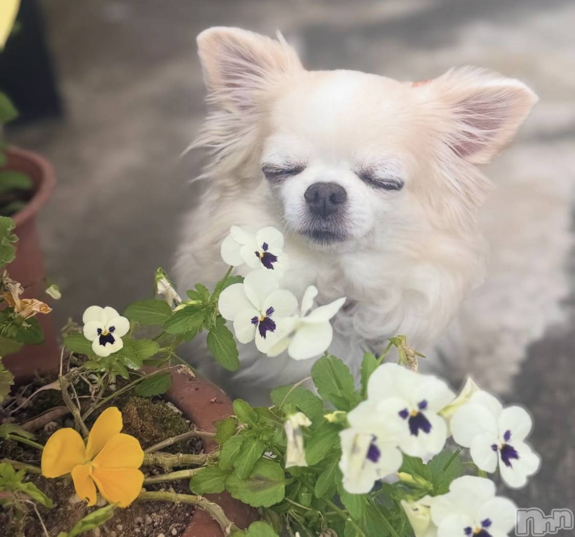 �����������������åȥС�Bar.Color(�С����顼) ��2025ǯ5��21���̥�֥����ֵ٤������Ǥ���