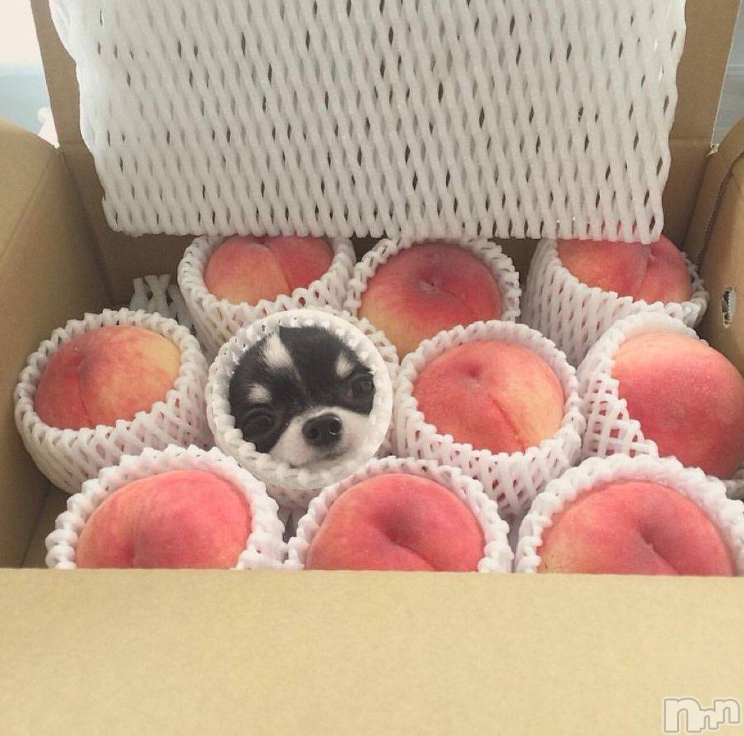 �����������������åȥС�Bar.Color(�С����顼) ��2025ǯ5��30���̥�֥����֥����^ - ^��