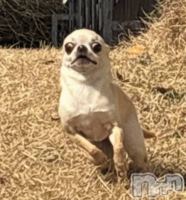 �����������������åȥС�Bar.Color(�С����顼) �����ؤ���3��29���̥�֥����֤Ϥ���ޤ��ơ�