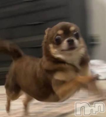 �����������������åȥС�Bar.Color(�С����顼) �����ؤ���3��31���̥�֥����֡���������