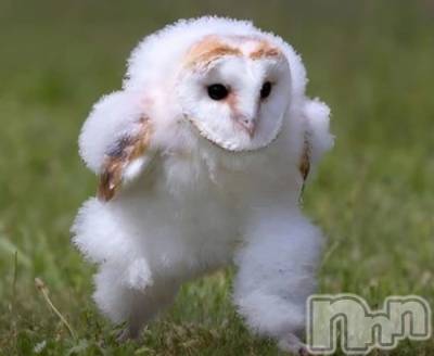 �����������������åȥС�Bar.Color(�С����顼) �����ؤ���4��1���̥�֥����֎����Ρ�