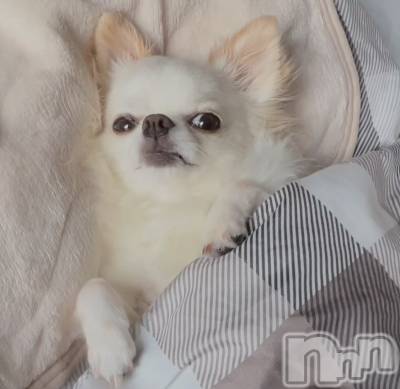 �����������������åȥС�Bar.Color(�С����顼) �����ؤ���4��6���̥�֥�����🍖��