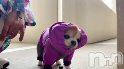 �����������������åȥС�Bar.Color(�С����顼) �����ؤ���4��8���̥�֥����֤��äȡ�