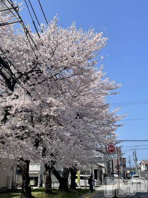 �����������������åȥС�Bar.Color(�С����顼) �����ؤ���4��14���̥�֥����ֺ���