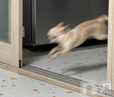 �����������������åȥС�Bar.Color(�С����顼) �����ؤ���4��15���̥�֥����֤ʤ�����ʤ���