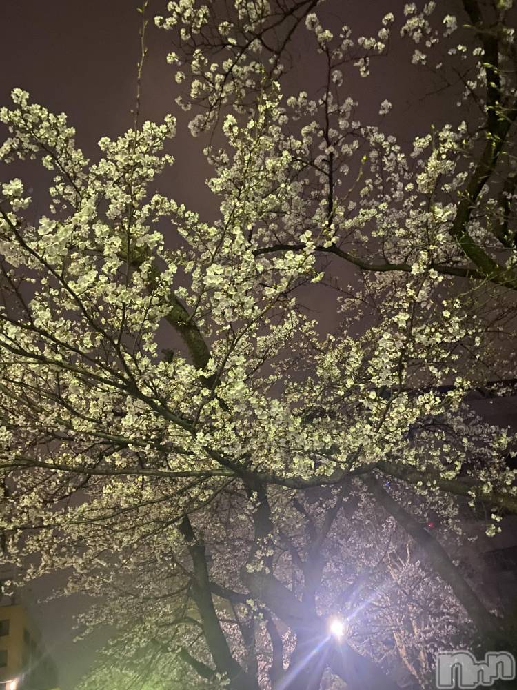 �����������������åȥС�Bar.Re.Muse(�С���ߥ塼��) ���ȥ���4��8���̥�֥����ֽա�