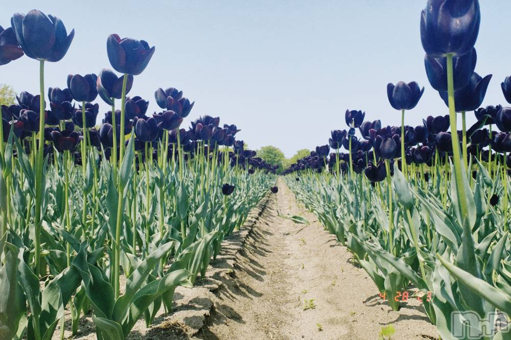 �����������������åȥС�Bar.Re.Muse(�С���ߥ塼��) ���ȥ���4��10���̥�֥����ֽա�