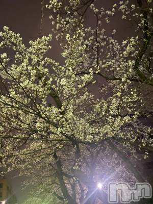 �����������������åȥС�Bar.Re.Muse(�С���ߥ塼��) ���ȥ�(24)��4��8���̥�֥����ֽա�