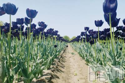 �����������������åȥС�Bar.Re.Muse(�С���ߥ塼��) ���ȥ�(24)��4��10���̥�֥����ֽա�