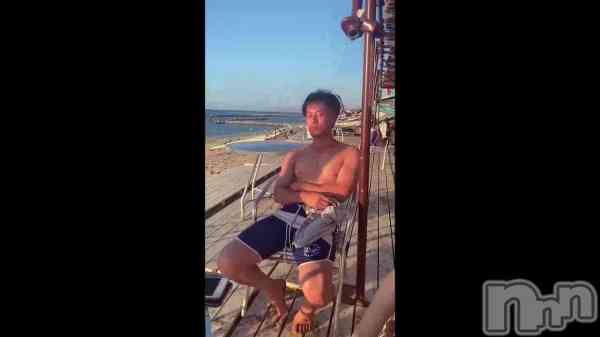 ����¢������